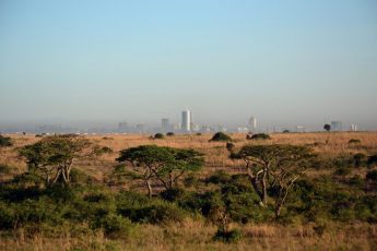 Nairobi-national-park-1024x682