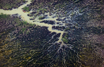 nigerdelta-1024x662